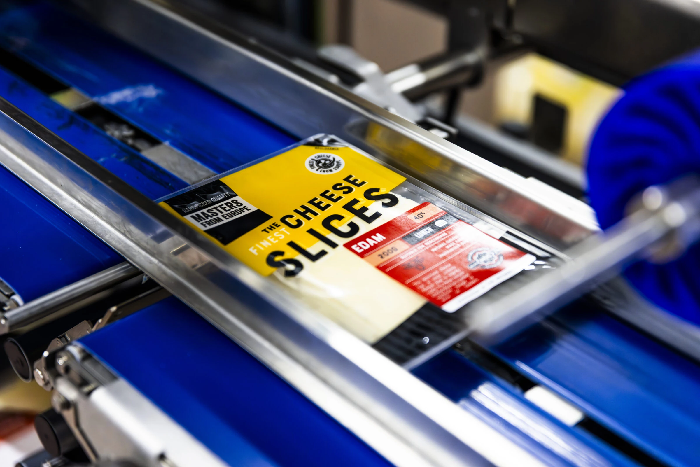 FFT International Masters From Europe